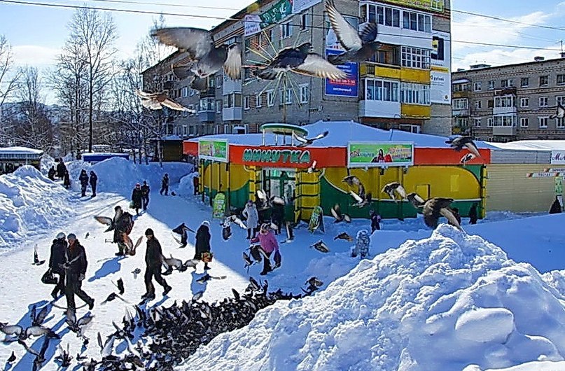 Погода в советской гавани. Советская гавань зима. Советская гавань зимой. Совгавань снегопад. Заснеженная Совгавань.