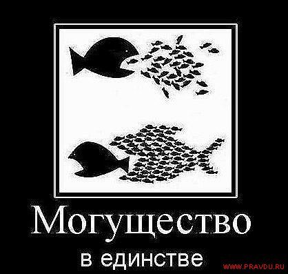 Единое Братство - ИЩИ НОВЫЙ АЛЬБОМ ТУТ https://vk.com/edinoebractvo,Открой мои двери